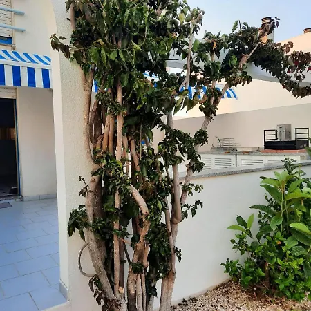 Aldeamento Triangulo Norte -praia Da - Casa Tipo T2 Ferienpark
